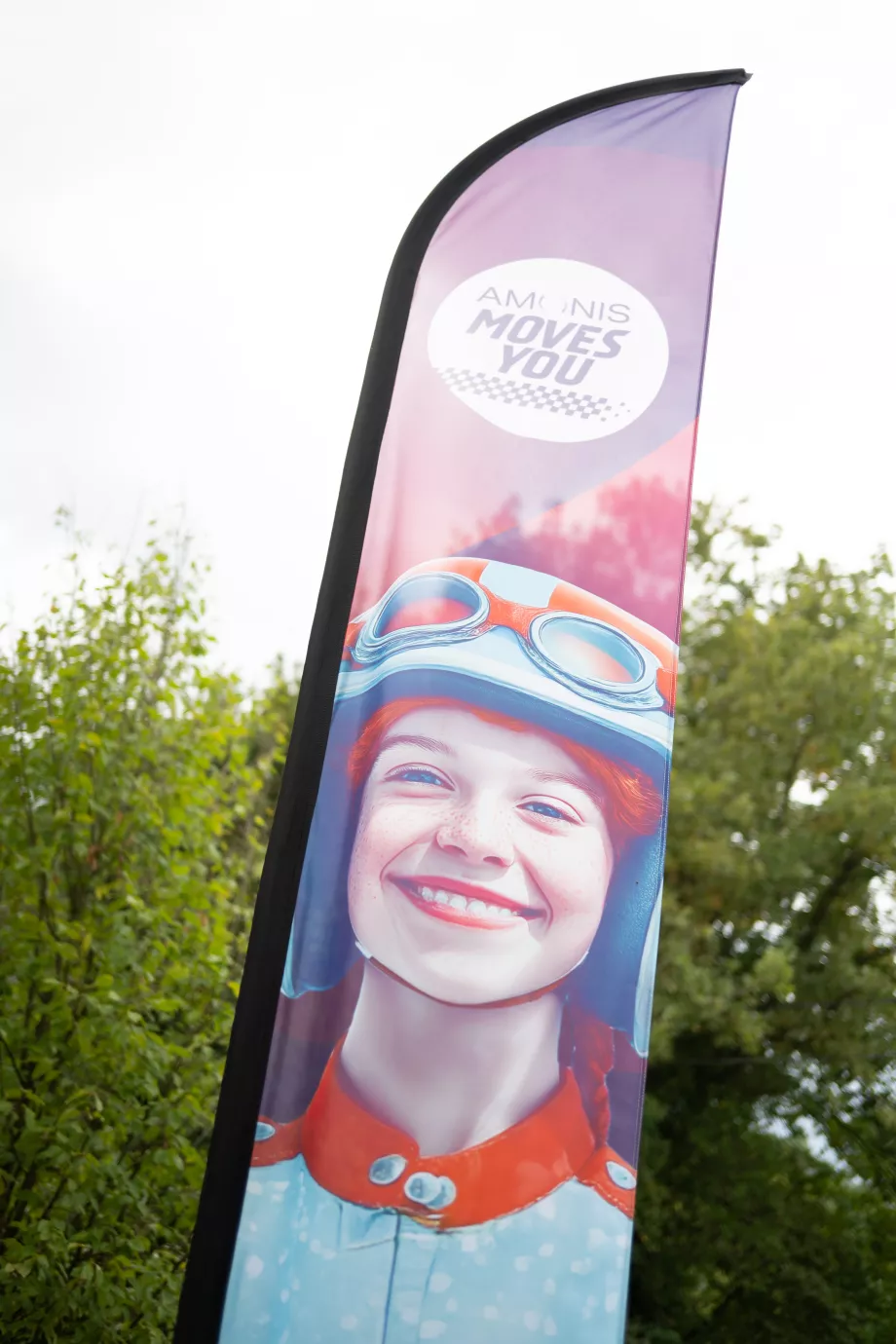 A beachflag with the text "Amonis moves you"