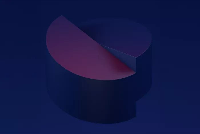 Amonis - jaarverslag / rapport annuel